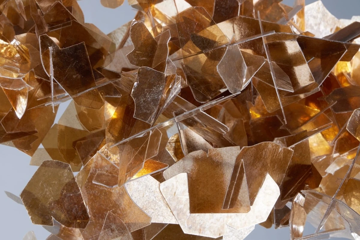 Charles Burnand Gallery